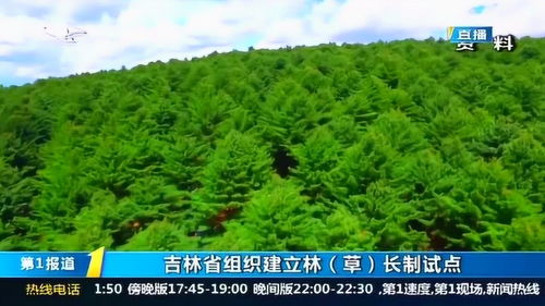 落实责任制 促进生态环境保护 吉林省建立林 草 长制试点
