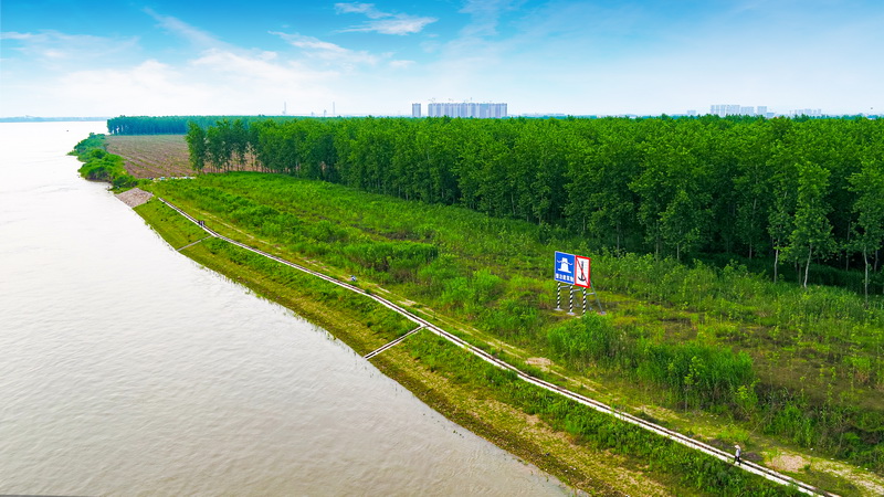 长江干线武汉至安庆段6米水深航道整治工程通过竣工环境保护验收