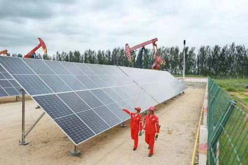 中国石油辽河油田兴采厂 光伏发电建设取得显著阶段成效